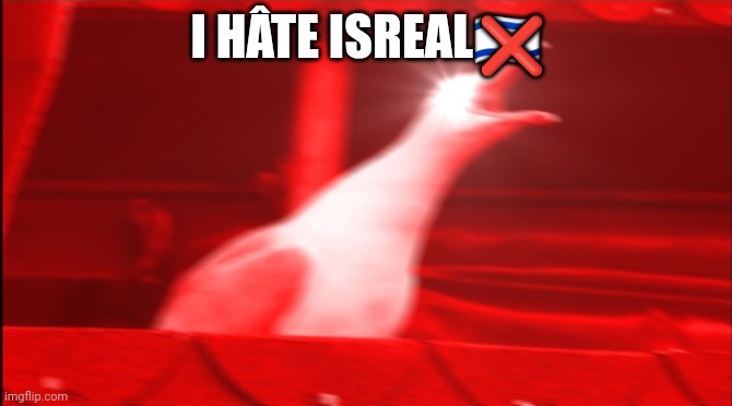 I hâte israel | ❌; I HÂTE ISREAL🇮🇱 | image tagged in screaming bird | made w/ Imgflip meme maker