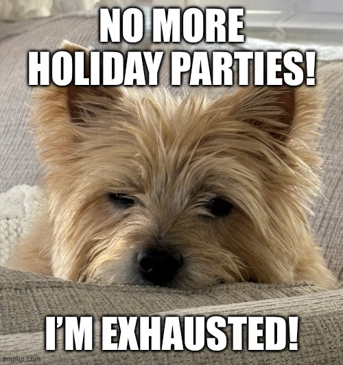 Holiday parties | NO MORE HOLIDAY PARTIES! I’M EXHAUSTED! | image tagged in holiday,parties | made w/ Imgflip meme maker