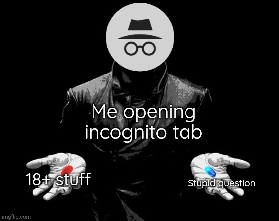 It's mostly the blue pill | Me opening incognito tab; 18+ stuff; Stupid question | image tagged in morpheus matrix blue pill red pill,incognito | made w/ Imgflip meme maker