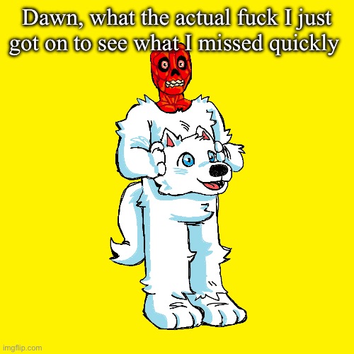 Vita mimic furry | Dawn, what the actual fuck I just got on to see what I missed quickly | image tagged in vita mimic furry | made w/ Imgflip meme maker