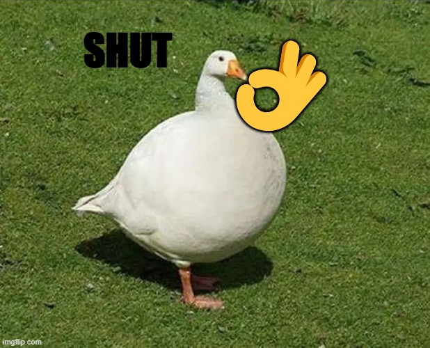 shut. | SHUT; 👌 | image tagged in fat goose | made w/ Imgflip meme maker