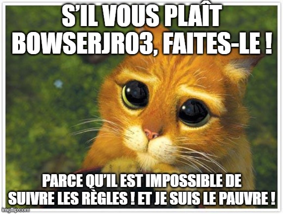 Shrek Cat Meme | S’IL VOUS PLAÎT BOWSERJR03, FAITES-LE ! PARCE QU’IL EST IMPOSSIBLE DE SUIVRE LES RÈGLES ! ET JE SUIS LE PAUVRE ! | image tagged in memes,shrek cat | made w/ Imgflip meme maker