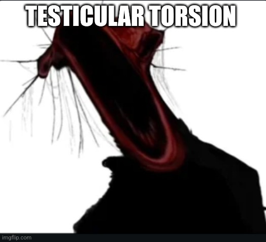 When I’m talking but I get testicular torsion | TESTICULAR TORSION | image tagged in when i m talking but i get testicular torsion | made w/ Imgflip meme maker