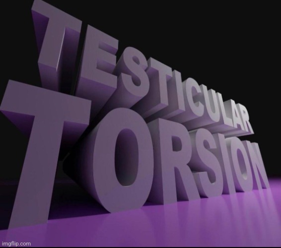 Testicular torsion | image tagged in testicular torsion | made w/ Imgflip meme maker