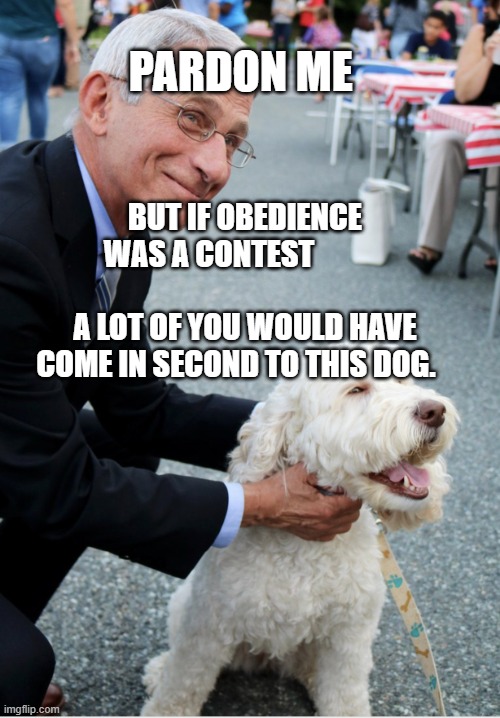 Fauci and his fetish | PARDON ME; BUT IF OBEDIENCE WAS A CONTEST                                     A LOT OF YOU WOULD HAVE COME IN SECOND TO THIS DOG. | image tagged in fauci and his fetish | made w/ Imgflip meme maker