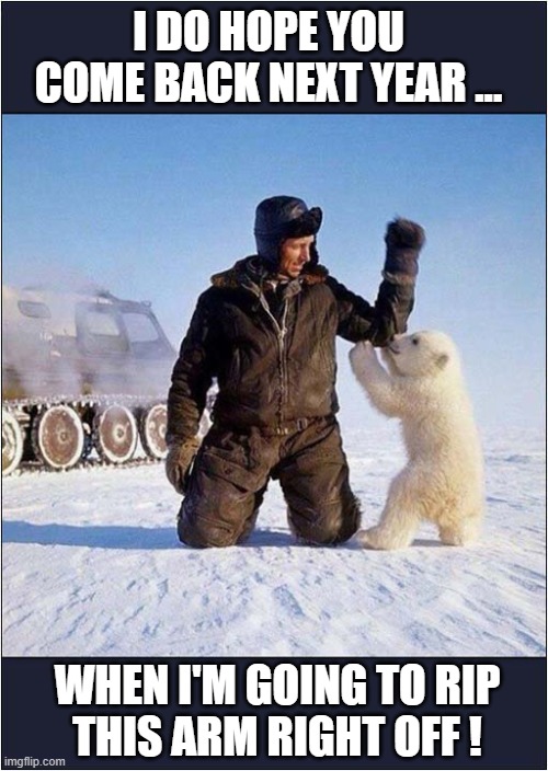 A Polar Bear Cub Can Dream ! | I DO HOPE YOU COME BACK NEXT YEAR ... WHEN I'M GOING TO RIP
THIS ARM RIGHT OFF ! | image tagged in polar bear,dreams,attack,dark humour | made w/ Imgflip meme maker