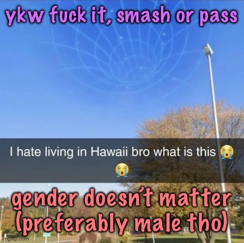 I hate living in Hawaii bro what is this | ykw fuck it, smash or pass; gender doesn’t matter (preferably male tho) | image tagged in i hate living in hawaii bro what is this,cinnabox announcement | made w/ Imgflip meme maker