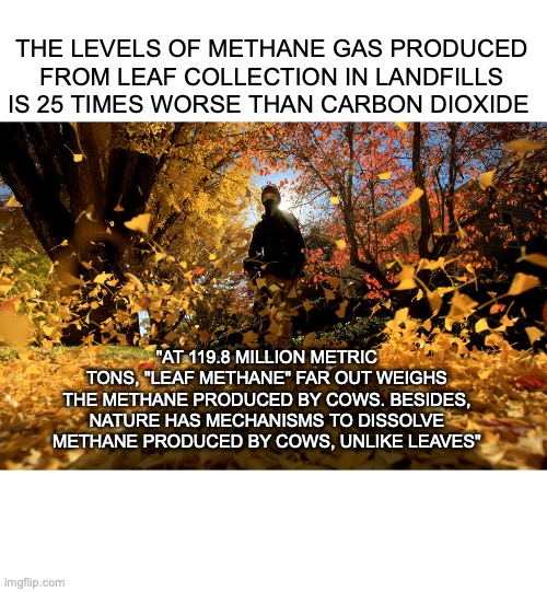 leaf blowers | THE LEVELS OF METHANE GAS PRODUCED FROM LEAF COLLECTION IN LANDFILLS IS 25 TIMES WORSE THAN CARBON DIOXIDE; "AT 119.8 MILLION METRIC TONS, "LEAF METHANE" FAR OUT WEIGHS THE METHANE PRODUCED BY COWS. BESIDES, NATURE HAS MECHANISMS TO DISSOLVE METHANE PRODUCED BY COWS, UNLIKE LEAVES" | image tagged in autumn leaves,lawnmower,noise | made w/ Imgflip meme maker