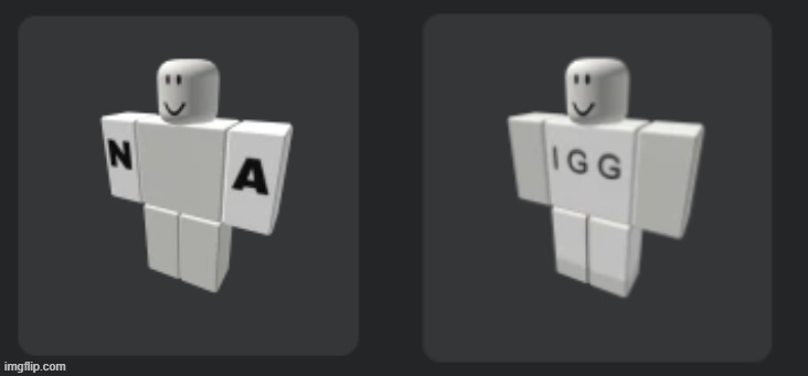 roblox n-wodr | image tagged in roblox n-wodr | made w/ Imgflip meme maker
