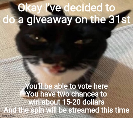 You can decide what to do with the money also | Okay I've decided to do a giveaway on the 31st; You'll be able to vote here
You have two chances to win about 15-20 dollars
And the spin will be streamed this time | image tagged in cat of anger | made w/ Imgflip meme maker