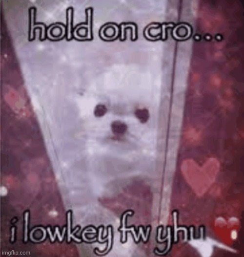 Hold on cro I lowkey fw yhu | image tagged in hold on cro i lowkey fw yhu | made w/ Imgflip meme maker