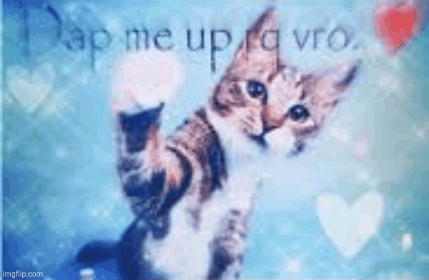 Dap me up rq vro | image tagged in dap me up rq vro | made w/ Imgflip meme maker