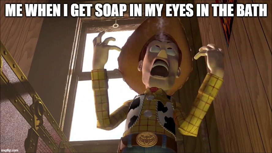 me when i get soap in my eyes | ME WHEN I GET SOAP IN MY EYES IN THE BATH | image tagged in toy story | made w/ Imgflip meme maker