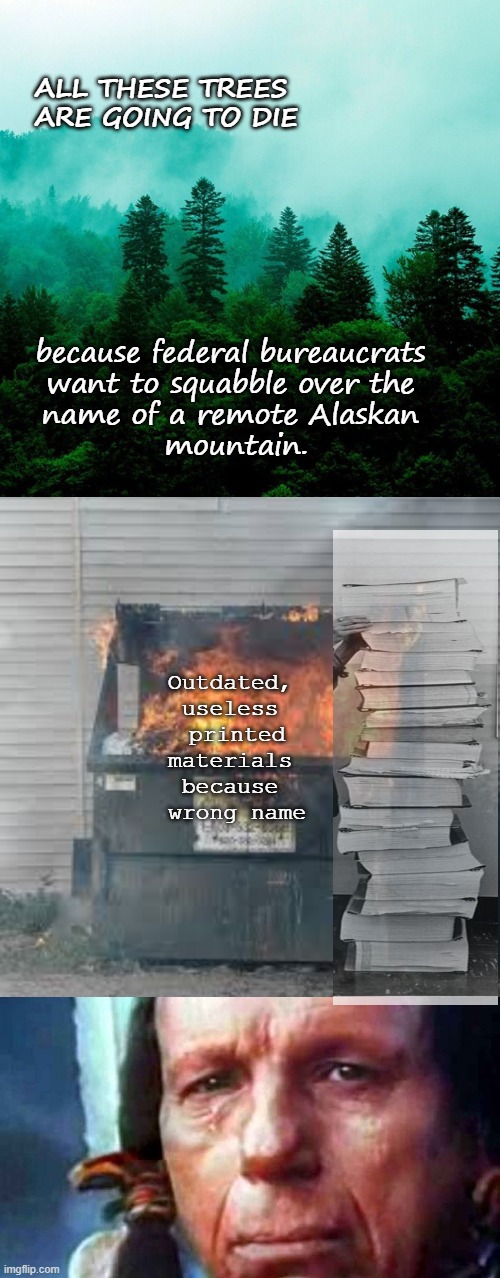 ALL THESE TREES
 ARE GOING TO DIE because federal bureaucrats 
want to squabble over the 
name of a remote Alaskan 
mountain. Outdated, 
use | image tagged in forest tree tops,dumpster fire,crying indian | made w/ Imgflip meme maker