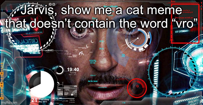 Jarvis | Jarvis, show me a cat meme that doesn’t contain the word “vro” | image tagged in jarvis | made w/ Imgflip meme maker