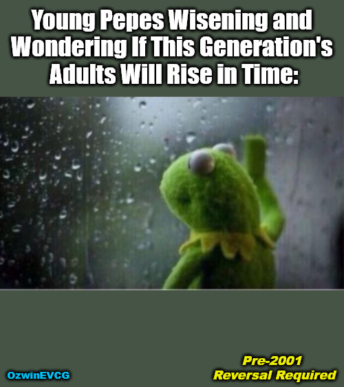 Pre-2001 Reversal Required | Young Pepes Wisening and 

Wondering If This Generation's 

Adults Will Rise in Time:; OzwinEVCG; Pre-2001 

Reversal Required | image tagged in kermit rain,adults,children,generational imperatives,clown world,government corruption | made w/ Imgflip meme maker