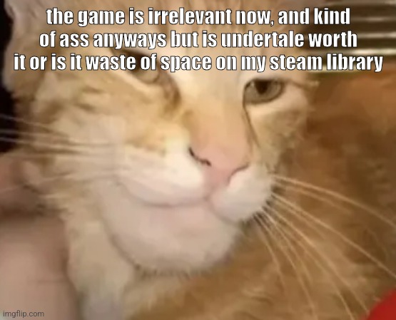 cat mewing | the game is irrelevant now, and kind of ass anyways but is undertale worth it or is it waste of space on my steam library | image tagged in cat mewing | made w/ Imgflip meme maker