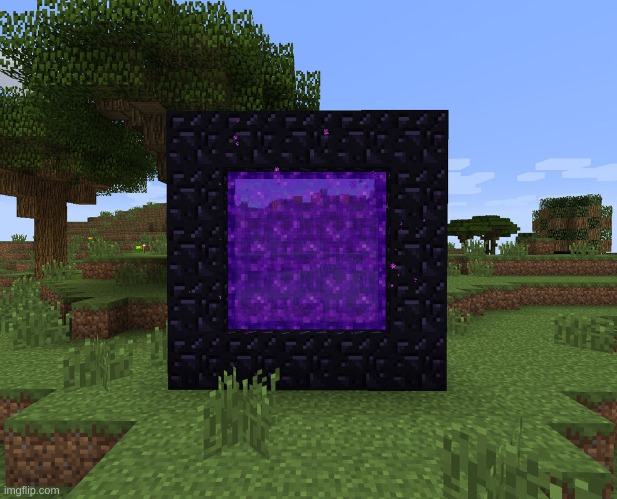Neither portal | image tagged in neither portal | made w/ Imgflip meme maker