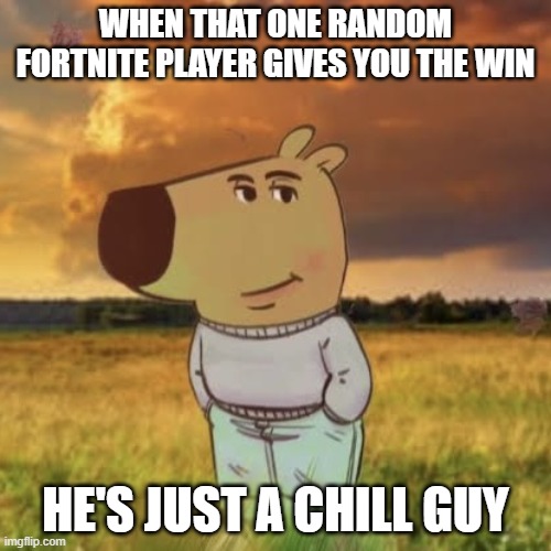 Chill guy | WHEN THAT ONE RANDOM FORTNITE PLAYER GIVES YOU THE WIN; HE'S JUST A CHILL GUY | image tagged in chill guy | made w/ Imgflip meme maker