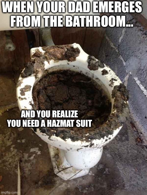 Definitely relatable | WHEN YOUR DAD EMERGES FROM THE BATHROOM... AND YOU REALIZE YOU NEED A HAZMAT SUIT | image tagged in toilet | made w/ Imgflip meme maker