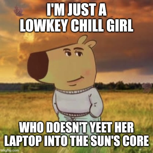 school make me mad. | I'M JUST A LOWKEY CHILL GIRL; WHO DOESN'T YEET HER LAPTOP INTO THE SUN'S CORE | image tagged in chill guy | made w/ Imgflip meme maker