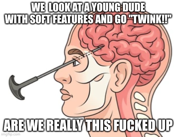 like its a man in the 20s,ofc they might have not grown a beard and stuff | WE  LOOK AT A YOUNG DUDE WITH SOFT FEATURES AND GO "TWINK!!"; ARE WE REALLY THIS FUCKED UP | image tagged in lobotomy | made w/ Imgflip meme maker