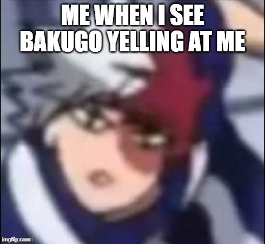 WTF shoto | ME WHEN I SEE BAKUGO YELLING AT ME | image tagged in wtf shoto | made w/ Imgflip meme maker