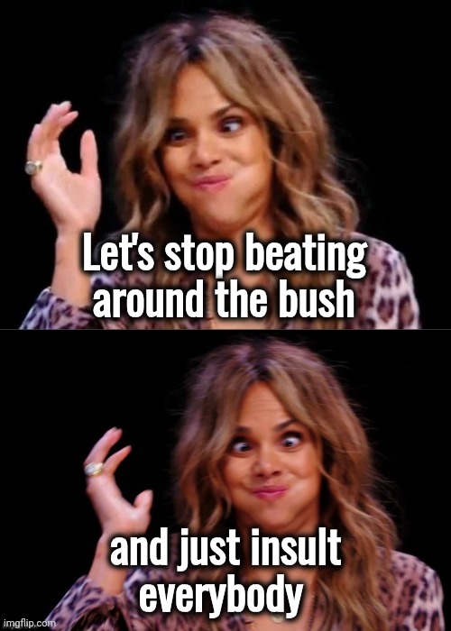 Lovely Halle Berry | Let's stop beating
around the bush and just insult
everybody | image tagged in lovely halle berry | made w/ Imgflip meme maker