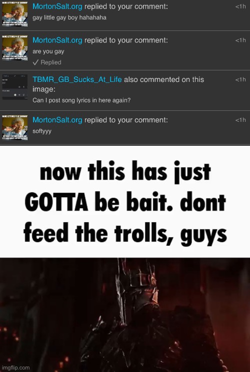 fucking dumbass, baiting or not | image tagged in now this has gotta be bait | made w/ Imgflip meme maker