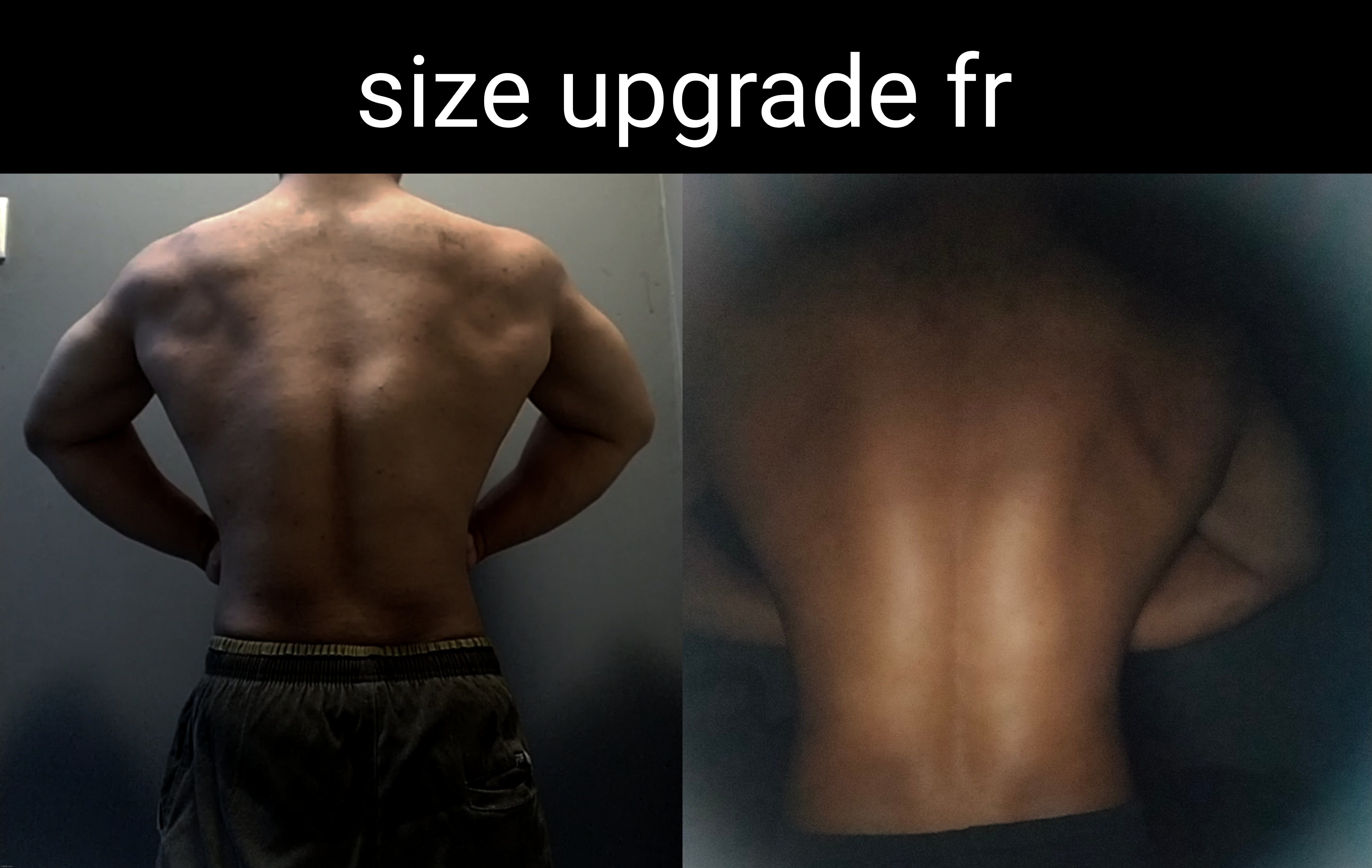 wing upgrade (i'm able to fly now) | size upgrade fr | made w/ Imgflip meme maker