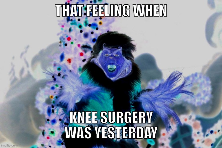 Christmas Grinch | THAT FEELING WHEN; KNEE SURGERY WAS YESTERDAY | image tagged in christmas grinch | made w/ Imgflip meme maker