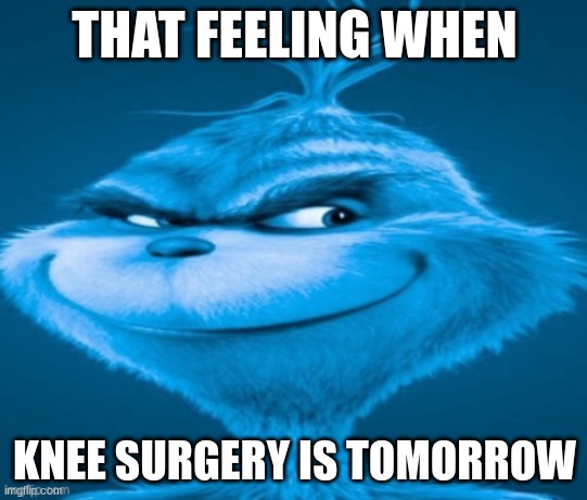 knee surgery | THAT FEELING WHEN; KNEE SURGERY IS TOMORROW | image tagged in knee surgery | made w/ Imgflip meme maker