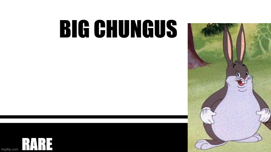 Smash Bros. Ultimate character card | BIG CHUNGUS; RARE | image tagged in smash bros ultimate character card | made w/ Imgflip meme maker