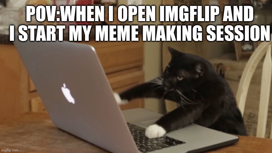 Furiously Typing Cat | POV:WHEN I OPEN IMGFLIP AND I START MY MEME MAKING SESSION | image tagged in furiously typing cat,cat,imgflip,imgflip users | made w/ Imgflip meme maker