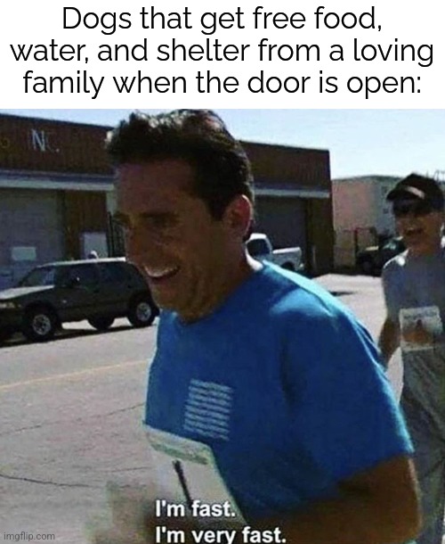 Gotta go fast | Dogs that get free food, water, and shelter from a loving family when the door is open: | image tagged in i'm fast i'm very fast,dogs,open door | made w/ Imgflip meme maker