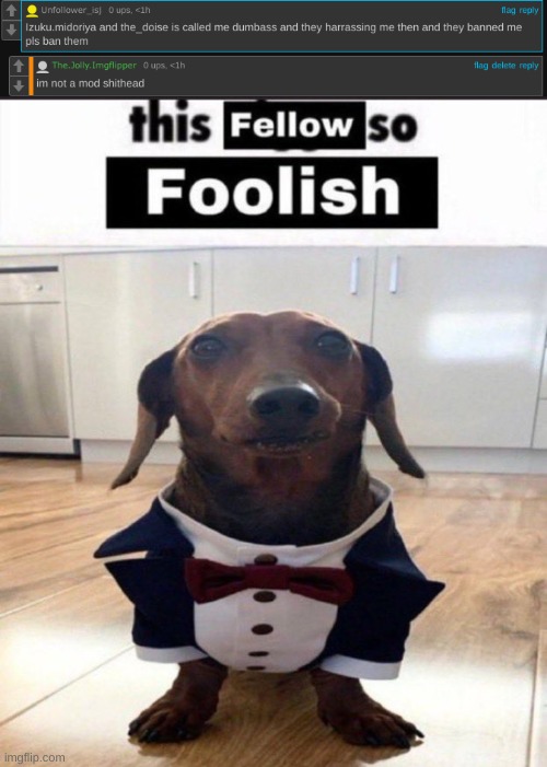 image tagged in this fellow is so foolish | made w/ Imgflip meme maker