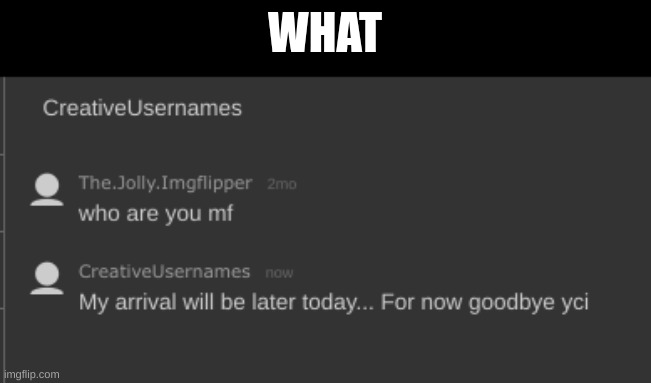 WHAT | made w/ Imgflip meme maker