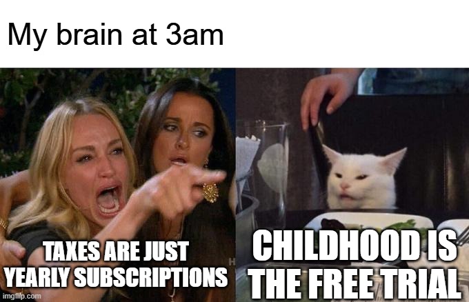 It's actually true | My brain at 3am; TAXES ARE JUST YEARLY SUBSCRIPTIONS; CHILDHOOD IS THE FREE TRIAL | image tagged in memes,woman yelling at cat | made w/ Imgflip meme maker