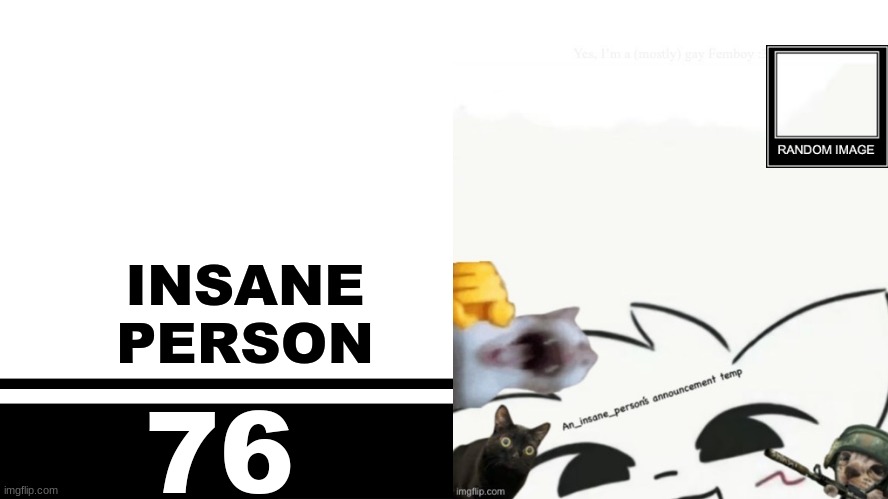 Smash Bros. Ultimate character card | INSANE
PERSON; 76 | image tagged in smash bros ultimate character card | made w/ Imgflip meme maker