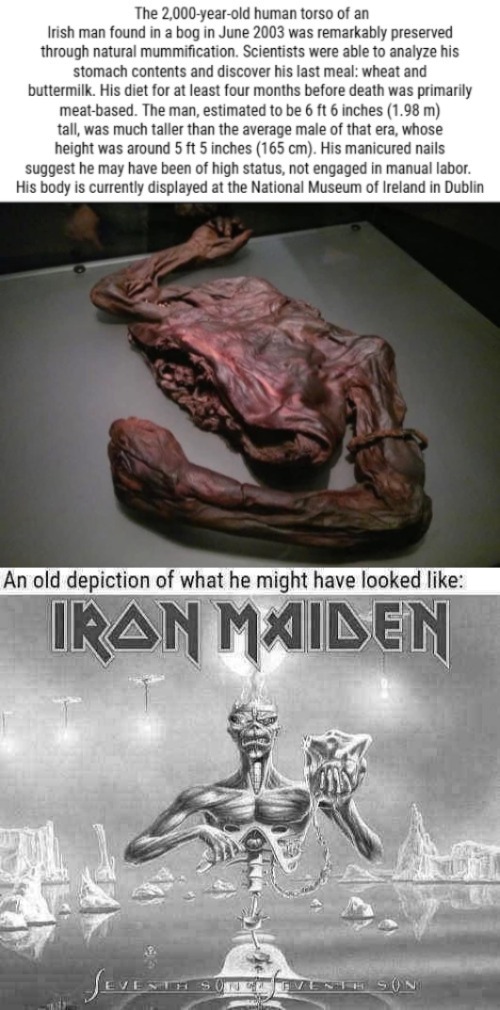 It's a reader, but hey - it's learnin' tiiime | image tagged in science,music joke,iron maiden,funny | made w/ Imgflip meme maker