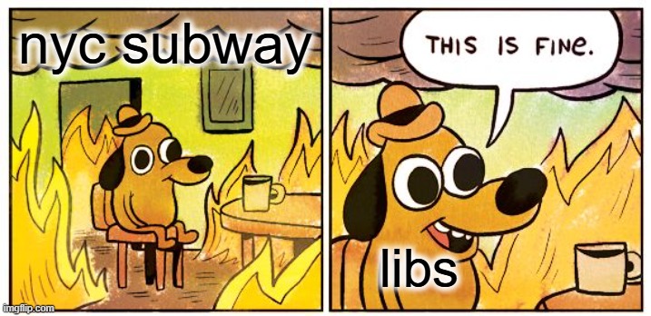 Literally | nyc subway; libs | image tagged in memes,this is fine,illegal immigration | made w/ Imgflip meme maker