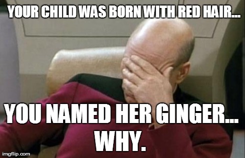Captain Picard Facepalm | YOUR CHILD WAS BORN WITH RED HAIR... YOU NAMED HER GINGER... WHY. | image tagged in memes,captain picard facepalm | made w/ Imgflip meme maker
