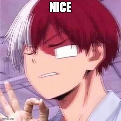 Todoroki | NICE | image tagged in todoroki | made w/ Imgflip meme maker