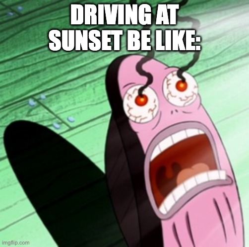 Burning eyes | DRIVING AT SUNSET BE LIKE: | image tagged in burning eyes | made w/ Imgflip meme maker