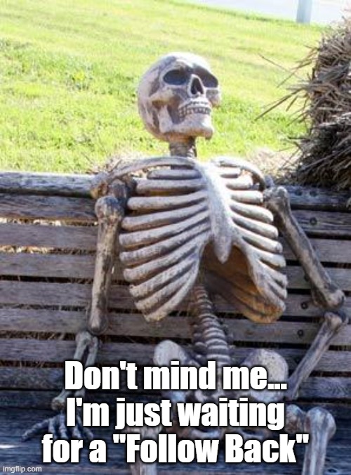 Skell | Don't mind me... I'm just waiting for a "Follow Back" | image tagged in memes,waiting skeleton | made w/ Imgflip meme maker