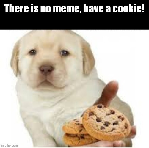 image tagged in cookie,dogs,no meme | made w/ Imgflip meme maker