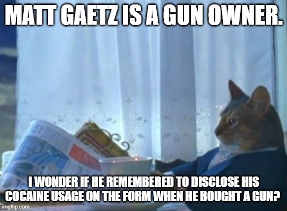 I Should Buy A Boat Cat | MATT GAETZ IS A GUN OWNER. I WONDER IF HE REMEMBERED TO DISCLOSE HIS COCAINE USAGE ON THE FORM WHEN HE BOUGHT A GUN? | image tagged in memes,i should buy a boat cat | made w/ Imgflip meme maker