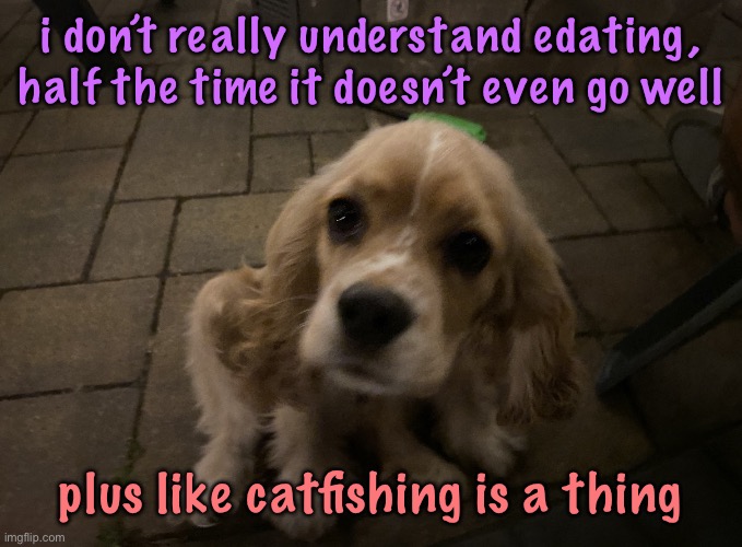 dumb little idiot gnocchi | i don’t really understand edating, half the time it doesn’t even go well; plus like catfishing is a thing | image tagged in dumb little idiot gnocchi,cinnabox announcement | made w/ Imgflip meme maker