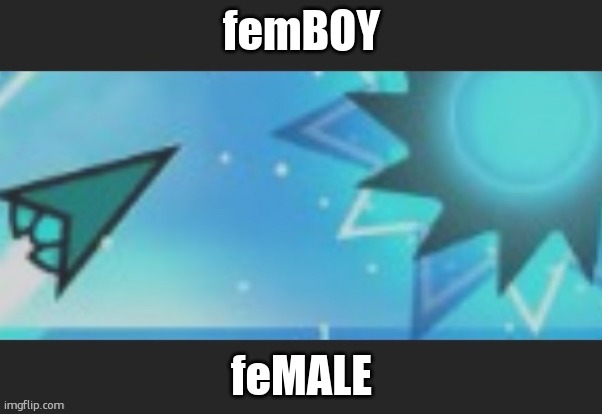 fe | femBOY; feMALE | image tagged in ruh roh | made w/ Imgflip meme maker