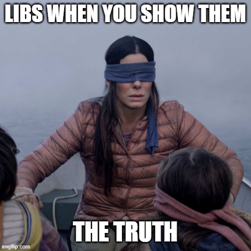 Bird Box Meme | LIBS WHEN YOU SHOW THEM THE TRUTH | image tagged in memes,bird box | made w/ Imgflip meme maker